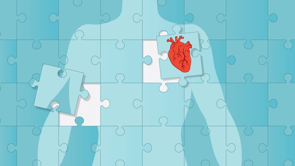 Cada hora mueren 13 personas en España, más de 150 al día, por una enfermedad cardiovascular