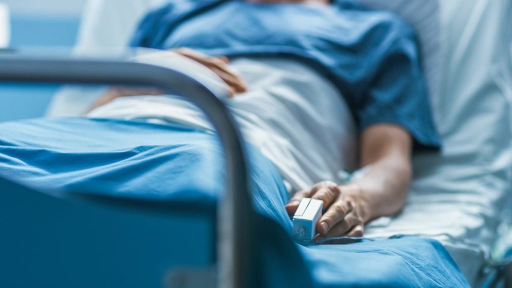 El ECDC advierte de la rápida propagación del hongo resistente a fármacos 'C. auris' en hospitales europeos
