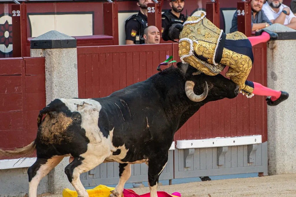 Grave cornada de 30 centímetros a Serafín Marín en Las Ventas