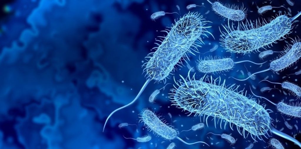 La OMS registra más de 560.000 casos de cólera en 2024 en el mundo, un 5% más que en 2023