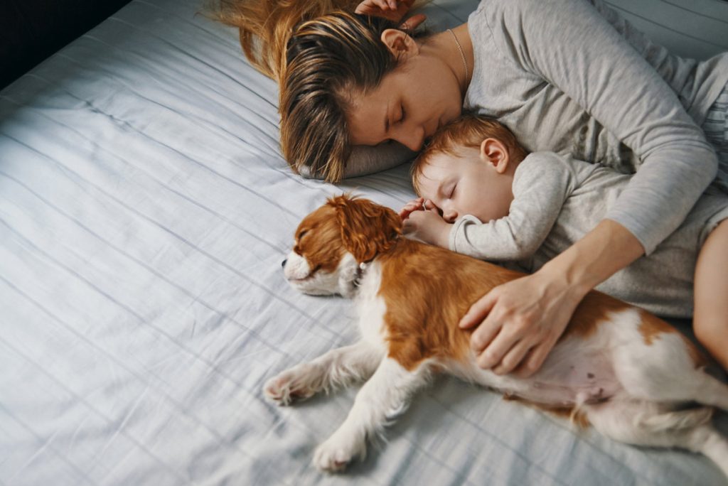 Los bebés que crecen cerca de perros pueden tener un menor riesgo de asma...¿y si tienes gatos?