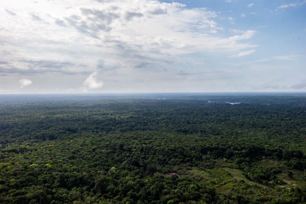 Los bosques en tierras indígenas del Amazonas reducen la propagación de 27 enfermedades