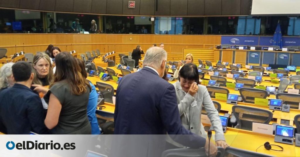 Los familiares de las víctimas de la DANA piden "justicia, verdad, memoria y reparación" en el Parlamento Europeo