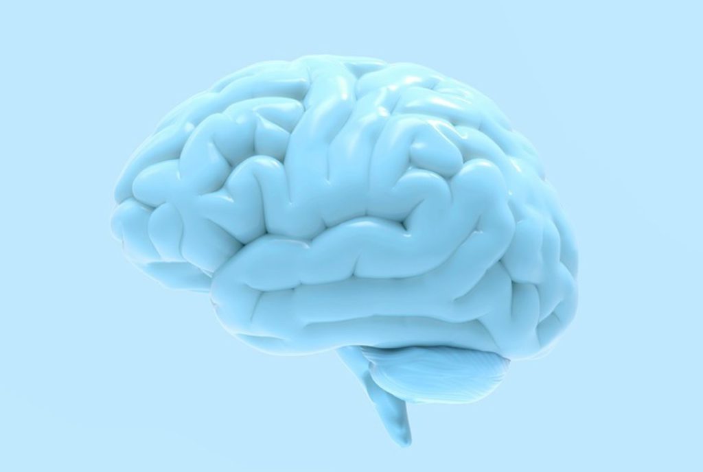 Organoides cerebrales permiten identificar las bases neuronales de la esquizofrenia y el trastorno bipolar
