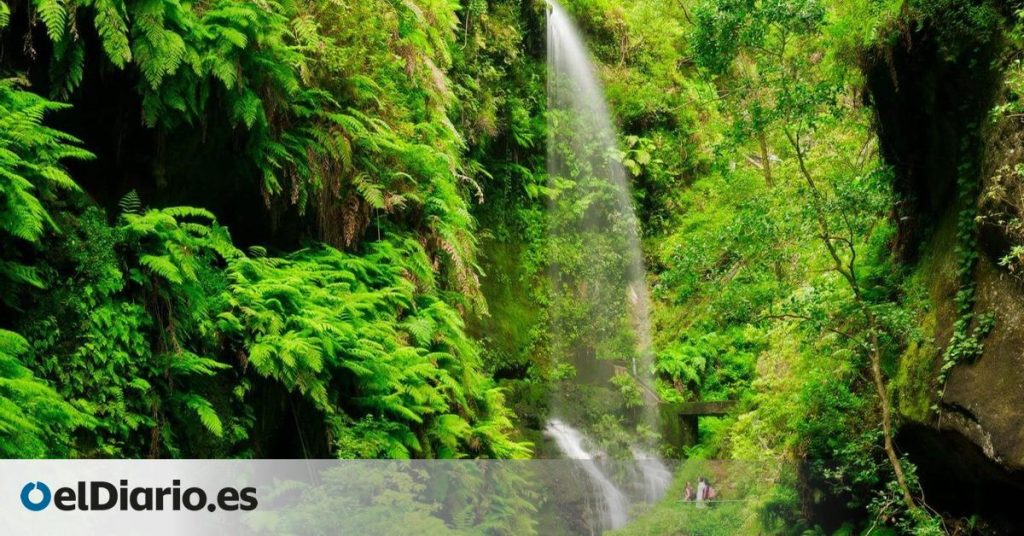 un viaje de contrastes por la isla de La Palma